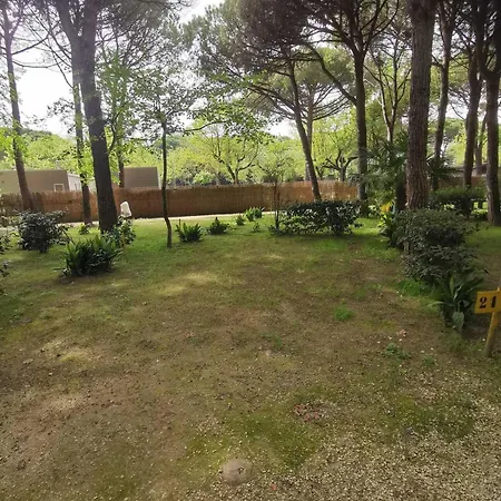 Camping Center Valdor