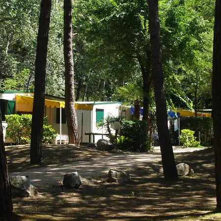 Center Valdor Camping