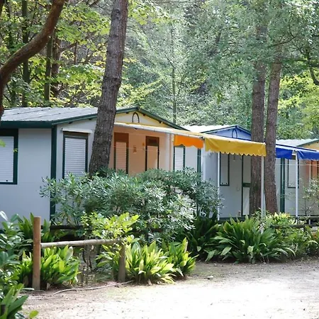 Center Valdor Camping