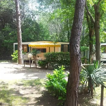 Camping Center Valdor
