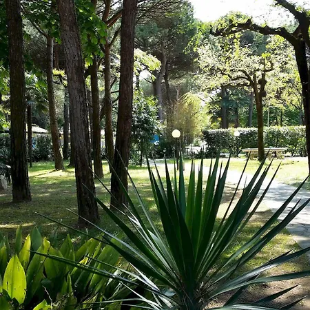 Center Valdor Camping